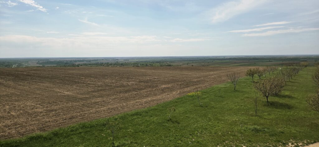 Kad ravnica utiša čovjeka: Tjedan dana u Slavoniji i Baranji 20260428 120524