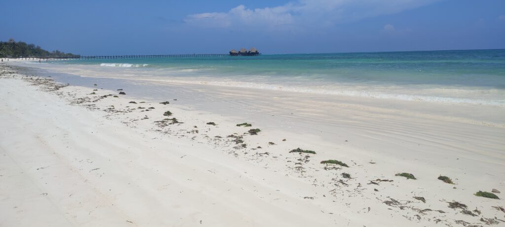 IMG 20241211 115634 1024x461