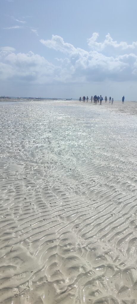 IMG 20241213 092547 461x1024