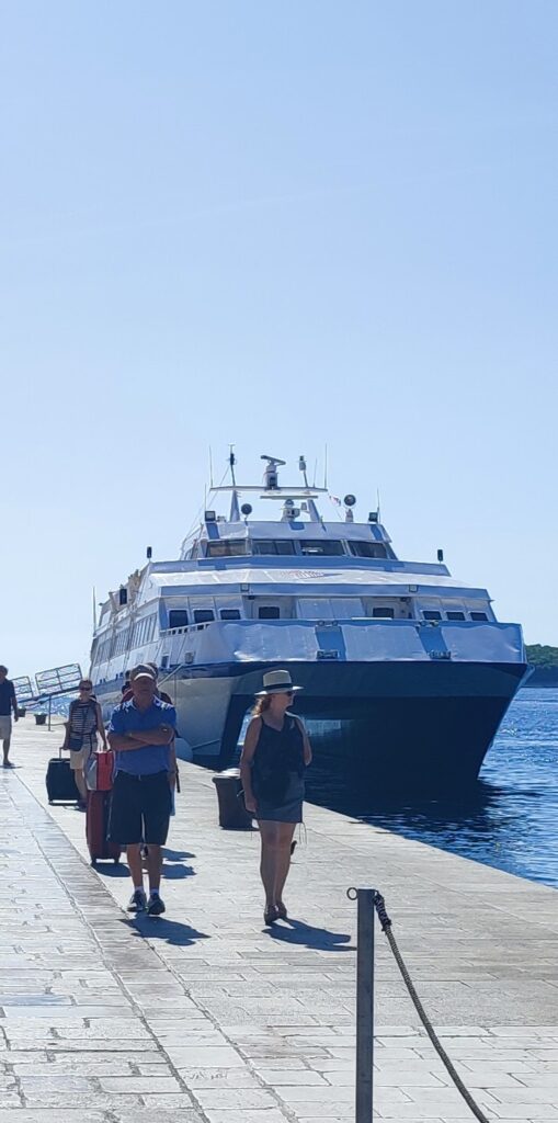 F58cfca8 54c6 464c A82e C0d7720b81f1 1 All 1563 509x1024