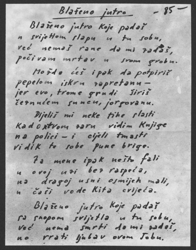 tin rukopis