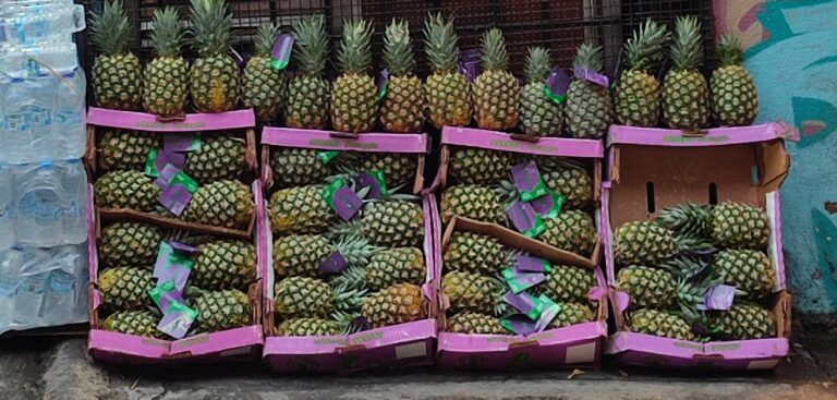 img 20221202 171928~2