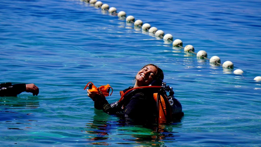 Life in diving center Tučepi img 20260916 wa0017